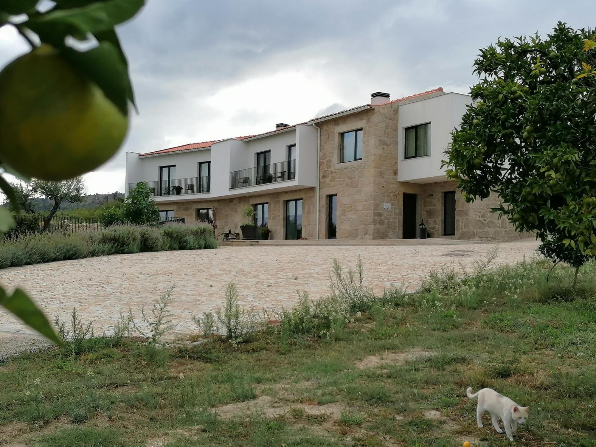 Carvalhal Redondo - Farm House Castelo Novo Bagian luar foto
